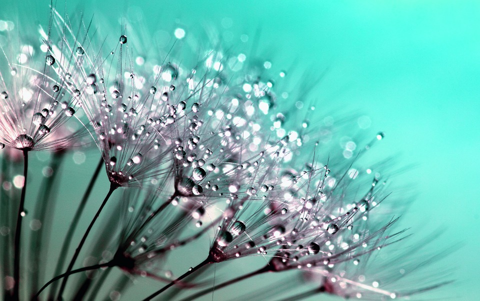 Aromatherapie