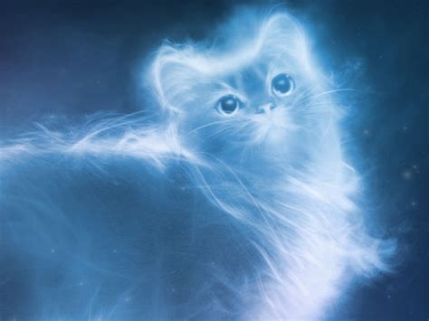 chat bleu