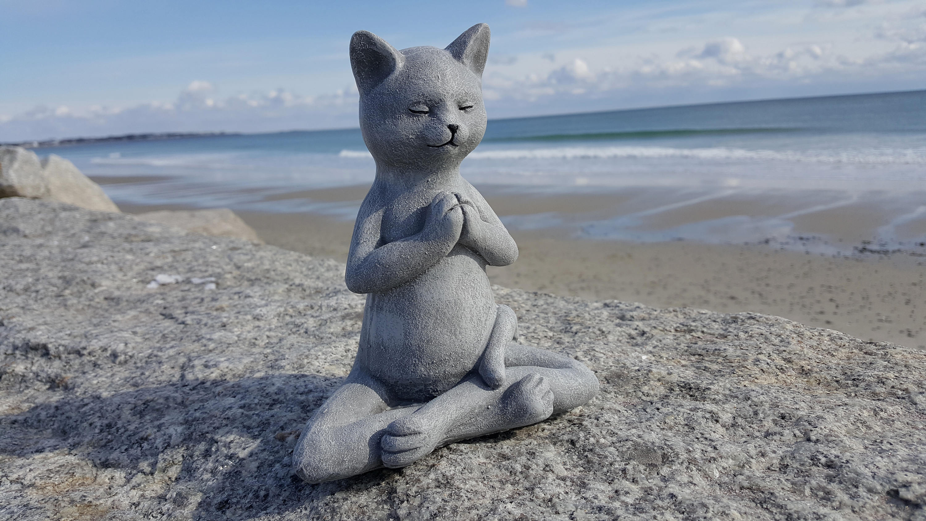 chat bouddha