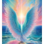 Package - Ascension Organique